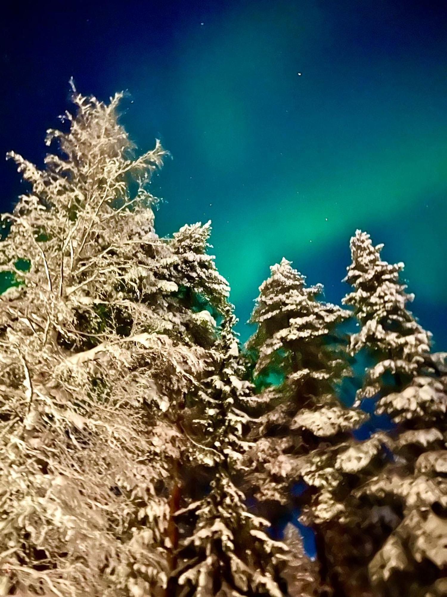 Villa Saarua By The Slopes Ski In, Family & Bike Park, Hike Trails, National Park, Wifi - Lapland Villas Ruka Exterior foto